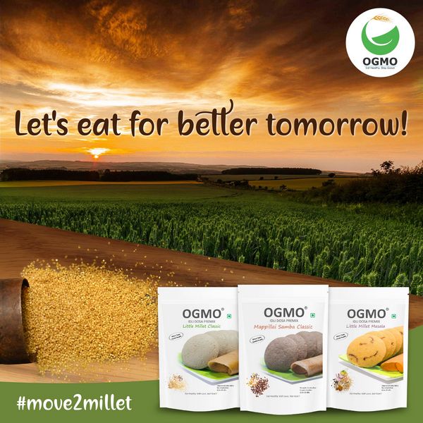 About 6 OGMO Products banner