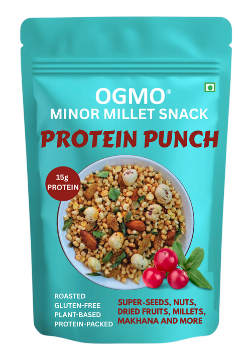 Protein Punch Namkeen